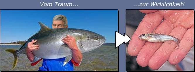 Es gibt Fisch und Fisch