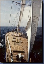 Stelondra